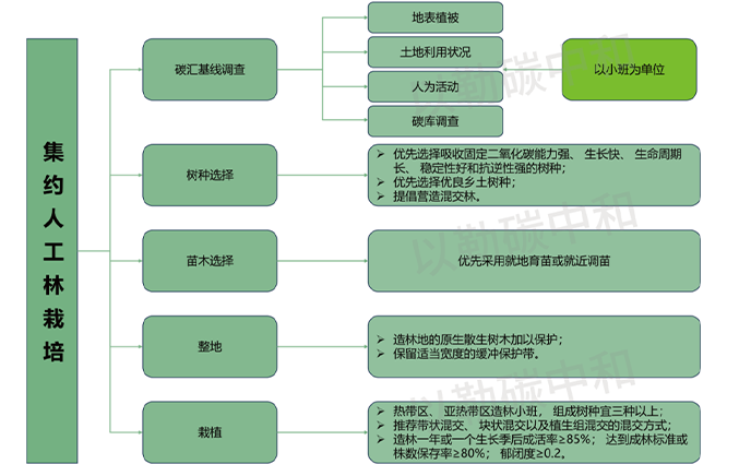 政策解读 | 一文读懂《碳汇型国家储备林经营指南》团体标准